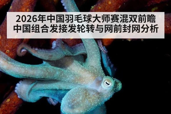 2026年中国羽毛球大师赛混双前瞻 中国组合发接发轮转与网前封网分析